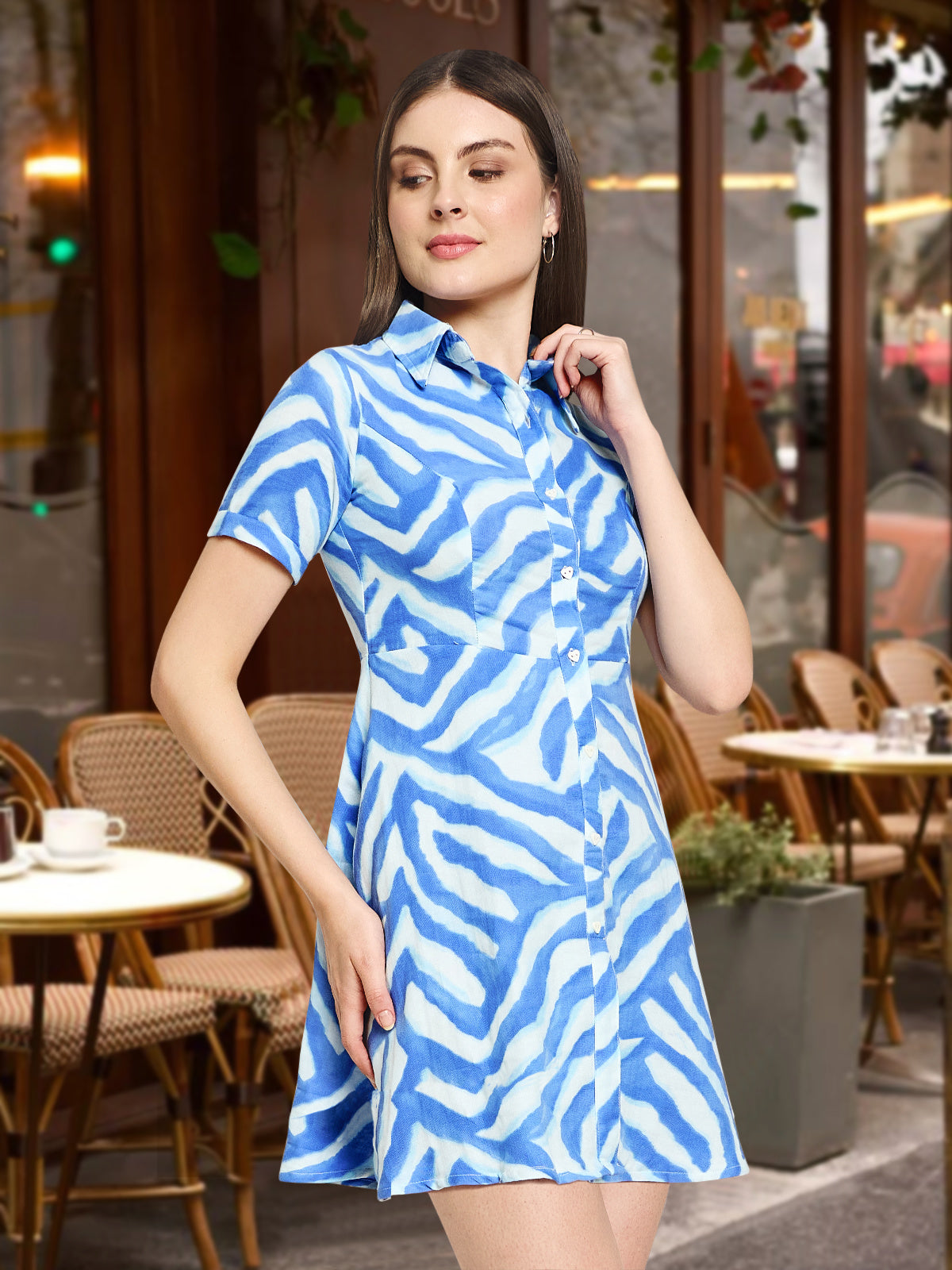 Women Blue White Double Cloth Dress